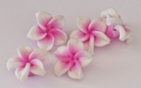 Mini Bl�te ca. 15-22 mm Nr. 4, wei�-rosa, 5 St.- ca. 2g.