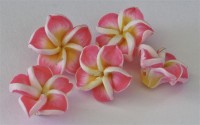Mini Bl�te ca. 15-22 mm Nr. 5, pinkrosa, 5 St.- ca. 2g.