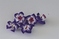 Mini Bl�te ca. 15-22 mm Nr. 6, lila-wei�-rosa, 5 St.- ca. 2g.