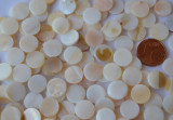 Perlmutt- Mosaik rund Durchmesser ca.1cm 50g ca.130St.