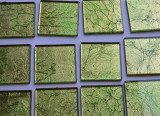 Glas Mosaiksteine Softglas 5x5cm Blattstruktur grün 1 St. ca24g Glas Mosaiksteine Softglas 5x5cm Blattstruktur grün 1 St. ca24g