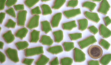 Bruchmosaik 1-3cm Keramik grün 4mm stark 100g ca. 45St.
